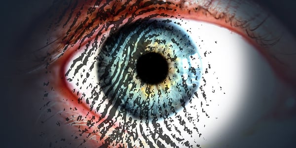 8 Things to Expect from Your Chosen Collection Agency