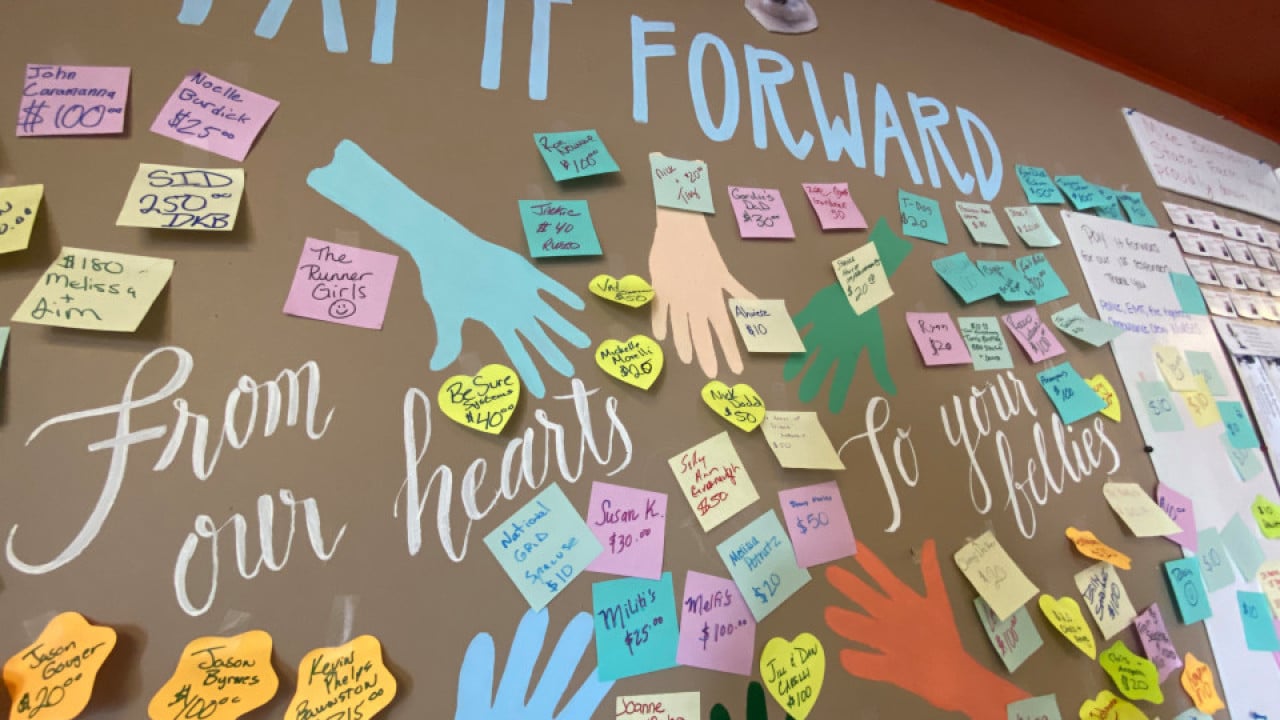 Pay It Forward Wall at Chickadee's