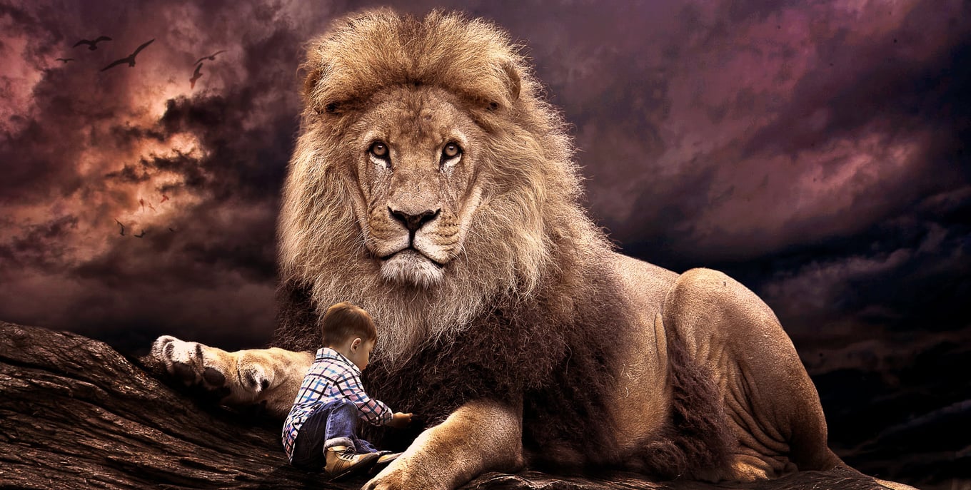 Lion guarding child