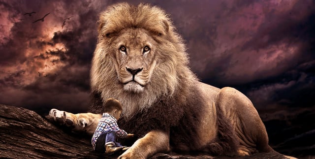 A lion protecting a baby boy