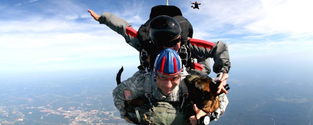 Allowing each person to do thier respective job allows this team to land a K-9 unit into enemy territory via parachute!