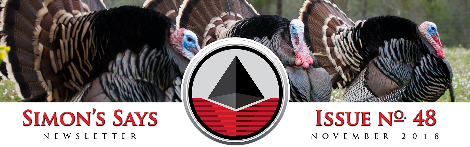 Simon's Says November 2018