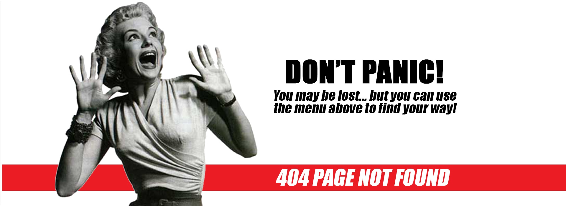 Don't Panic 404