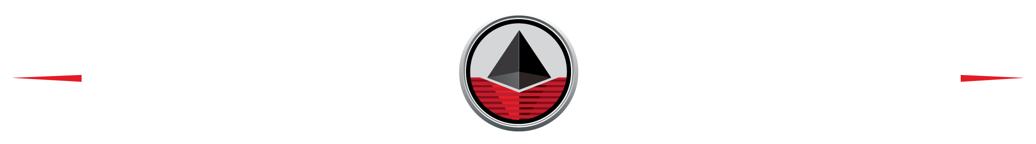 Simons Agency Logo 2017